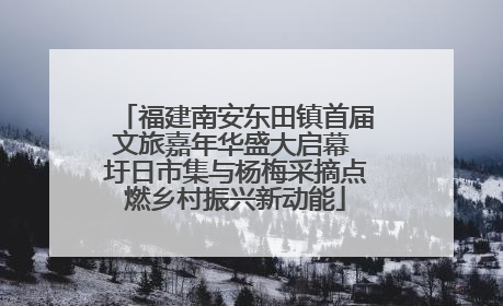 福建南安东田镇首届文旅嘉年华盛大启幕 圩日市集与杨梅采摘点燃乡村振兴新动能