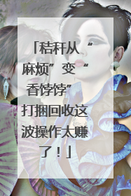 秸秆从“麻烦”变“香饽饽” 打捆回收这波操作太赚了！