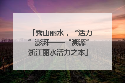 秀山丽水，“活力”澎湃——“溯源”浙江丽水活力之本