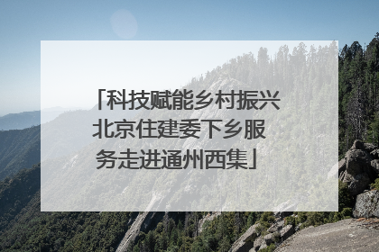 科技赋能乡村振兴 北京住建委下乡服务走进通州西集
