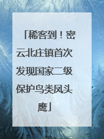 稀客到！密云北庄镇首次发现国家二级保护鸟类凤头鹰
