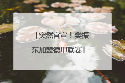 突然官宣！樊振东加盟德甲联赛