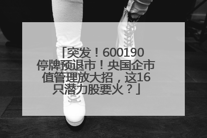 突发！600190停牌预退市！央国企市值管理放大招，这16只潜力股要火？