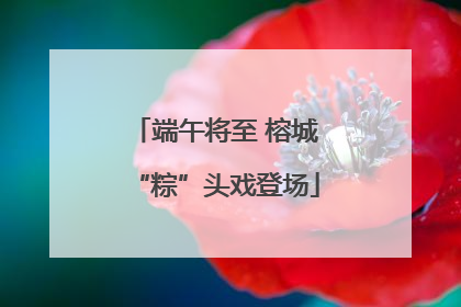 端午将至 榕城“粽”头戏登场