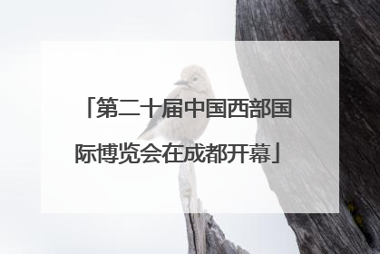 第二十届中国西部国际博览会在成都开幕