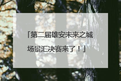 第二届雄安未来之城场景汇决赛来了！