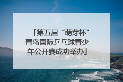 第五届“萌芽杯”青岛国际乒乓球青少年公开赛成功举办