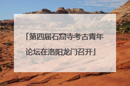 第四届石窟寺考古青年论坛在洛阳龙门召开