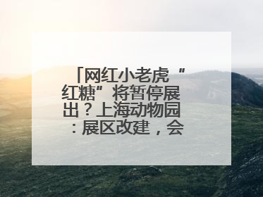 网红小老虎“红糖”将暂停展出？上海动物园：展区改建，会安排展出计划