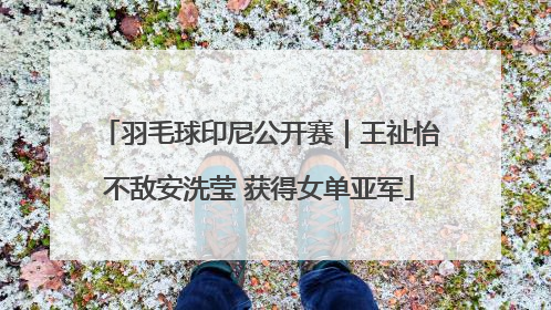 羽毛球印尼公开赛｜王祉怡不敌安洗莹 获得女单亚军