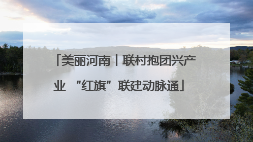 美丽河南丨联村抱团兴产业 “红旗”联建动脉通