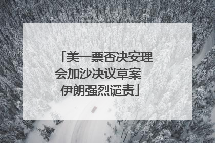 美一票否决安理会加沙决议草案 伊朗强烈谴责