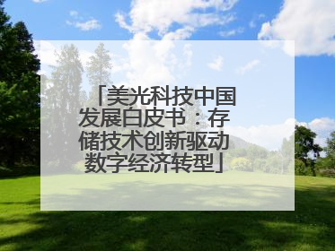 美光科技中国发展白皮书：存储技术创新驱动数字经济转型