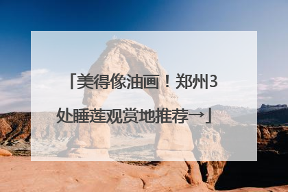 美得像油画！郑州3处睡莲观赏地推荐→