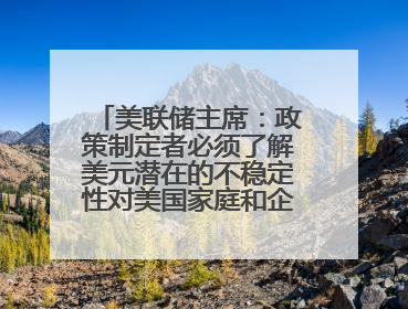 美联储主席：政策制定者必须了解美元潜在的不稳定性对美国家庭和企业的影响