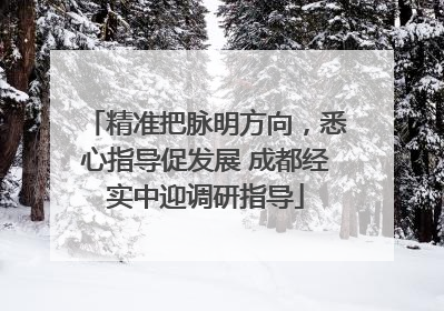 精准把脉明方向，悉心指导促发展 成都经实中迎调研指导