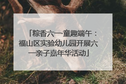 粽香六一·童趣端午：福山区实验幼儿园开展六一亲子嘉年华活动