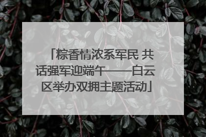 粽香情浓系军民 共话强军迎端午——白云区举办双拥主题活动