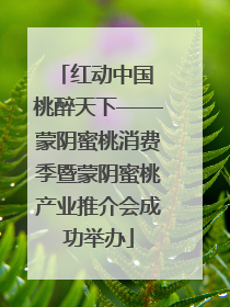 红动中国 桃醉天下——蒙阴蜜桃消费季暨蒙阴蜜桃产业推介会成功举办