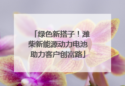 绿色新搭子！潍柴新能源动力电池助力客户创富路