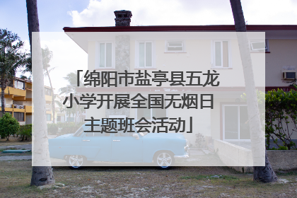 绵阳市盐亭县五龙小学开展全国无烟日主题班会活动