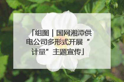 组图｜国网湘潭供电公司多形式开展“计量”主题宣传