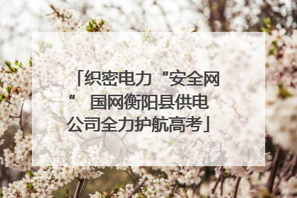 织密电力“安全网” 国网衡阳县供电公司全力护航高考