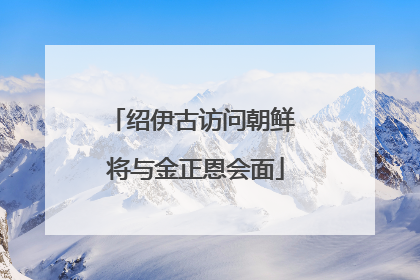 绍伊古访问朝鲜 将与金正恩会面