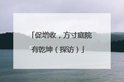 促增收，方寸庭院有乾坤（探访）