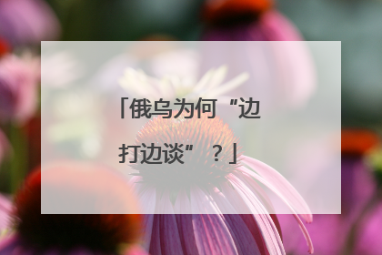 俄乌为何“边打边谈”？