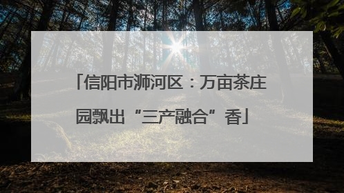 信阳市浉河区：万亩茶庄园飘出“三产融合”香