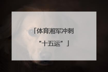 体育湘军冲刺“十五运”