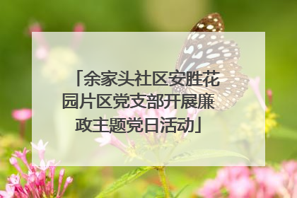 余家头社区安胜花园片区党支部开展廉政主题党日活动