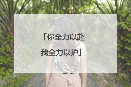 你全力以赴 我全力以护