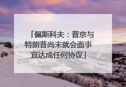 佩斯科夫：普京与特朗普尚未就会面事宜达成任何协议