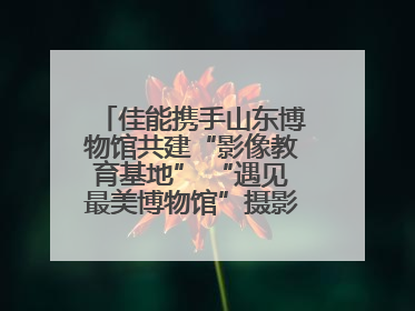 佳能携手山东博物馆共建“影像教育基地” “遇见最美博物馆”摄影大赛同步启幕