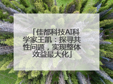 佳都科技AI科学家王凯：探寻共性问题，实现整体效益最大化