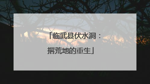 临武县伏水洞：撂荒地的重生