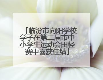 临汾市向阳学校学子在第二届市中小学生运动会田径赛中喜获佳绩