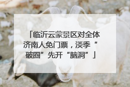 临沂云蒙景区对全体济南人免门票，淡季“破圈”先开“脑洞”