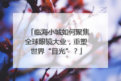 临海小城如何聚焦全球眼镜大业,重塑世界“目光”?