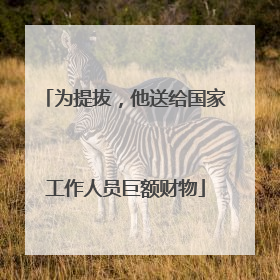为提拔，他送给国家工作人员巨额财物