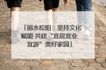 丽水松阳：坚持文化赋能 共建“宜居宜业宜游”美好家园