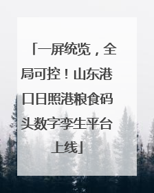 一屏统览，全局可控！山东港口日照港粮食码头数字孪生平台上线