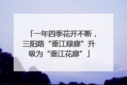 一年四季花开不断，三阳路“垂江绿廊”升级为“垂江花廊”
