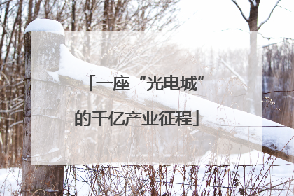 一座“光电城”的千亿产业征程
