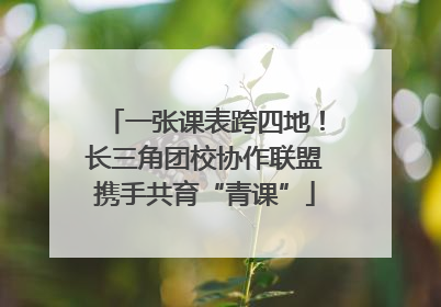 一张课表跨四地！长三角团校协作联盟携手共育“青课”