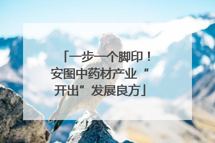 一步一个脚印！安图中药材产业“开出”发展良方