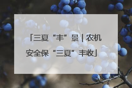 三夏“丰”景｜农机安全保“三夏”丰收