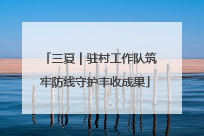 三夏｜驻村工作队筑牢防线守护丰收成果